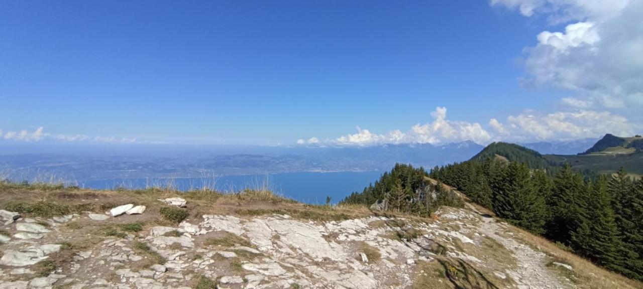 Appartement T2 Ideal Pour Une Famille Thollon-les-Memises Εξωτερικό φωτογραφία